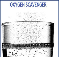 Oxygen Scavengers